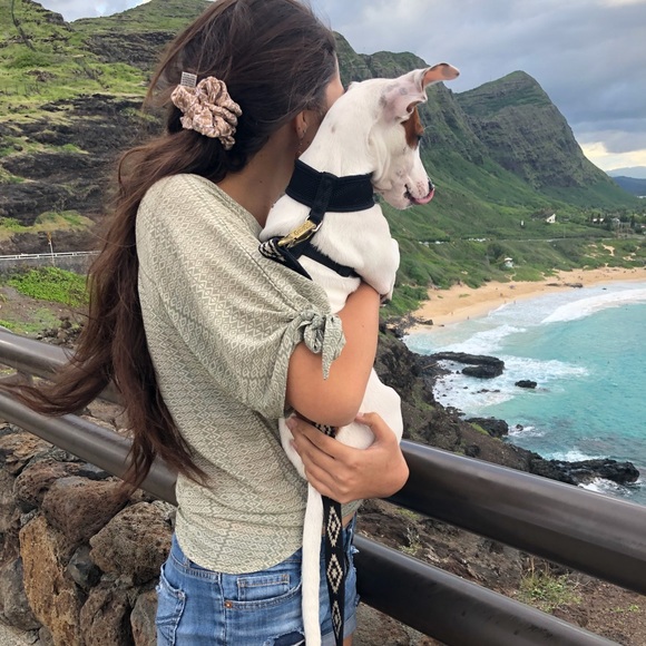 Meet your Posher, Tehani - Picture 3 of 3